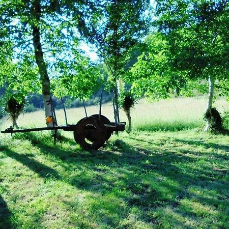 Apartamento Con Vistas Al Rio A Solaina Samos Zewnętrze zdjęcie